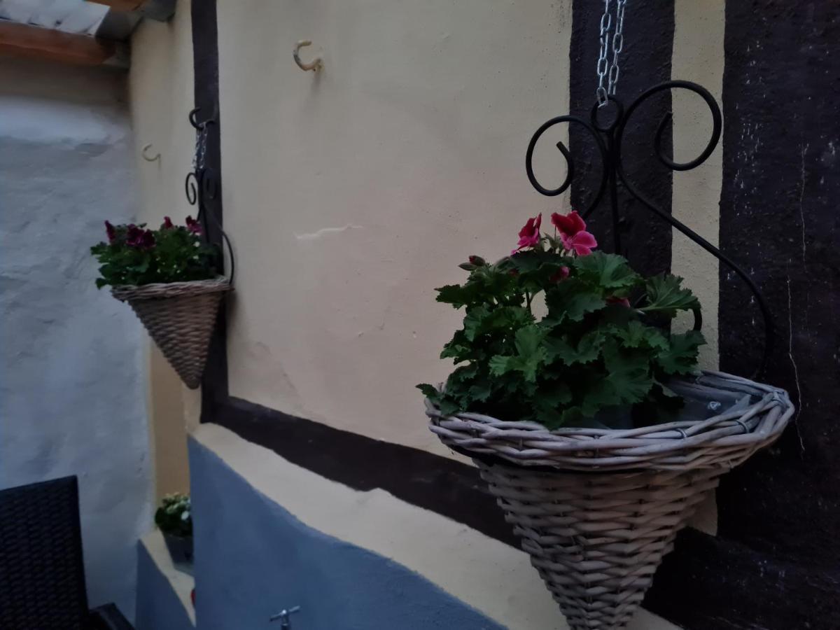 Ferienhaus Schatzliebe كيدلينبورغ المظهر الخارجي الصورة